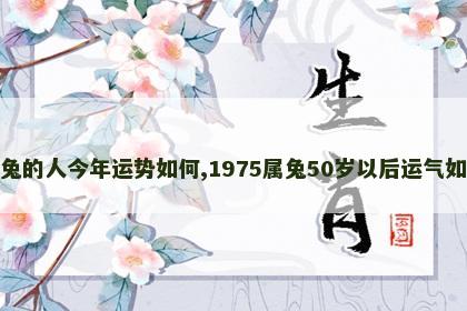 属兔的人今年运势如何,1975属兔50岁以后运气如何