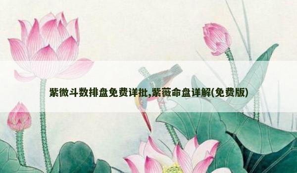 紫微斗数排盘免费详批,紫薇命盘详解(免费版)