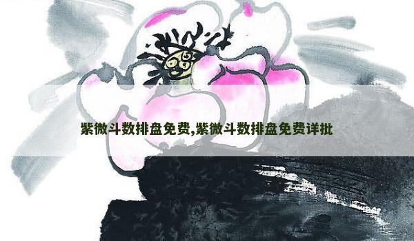 紫微斗数排盘免费,紫微斗数排盘免费详批