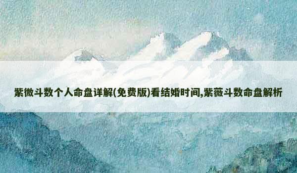 紫微斗数个人命盘详解(免费版)看结婚时间,紫薇斗数命盘解析