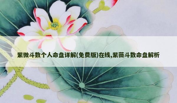 紫微斗数个人命盘详解(免费版)在线,紫薇斗数命盘解析