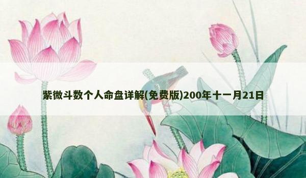 紫微斗数个人命盘详解(免费版)200年十一月21日