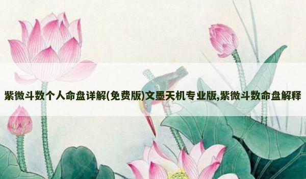 紫微斗数个人命盘详解(免费版)文墨天机专业版,紫微斗数命盘解释