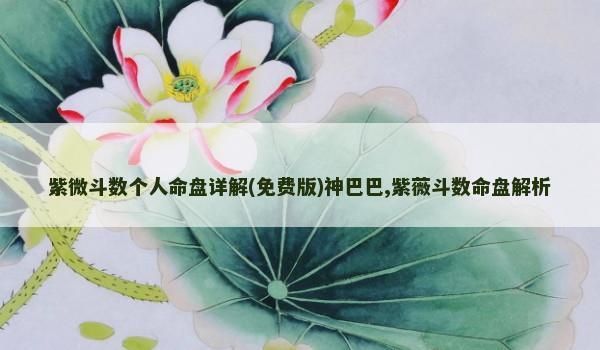 紫微斗数个人命盘详解(免费版)神巴巴,紫薇斗数命盘解析