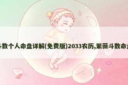 紫微斗数个人命盘详解(免费版)2033农历,紫薇斗数命盘解析