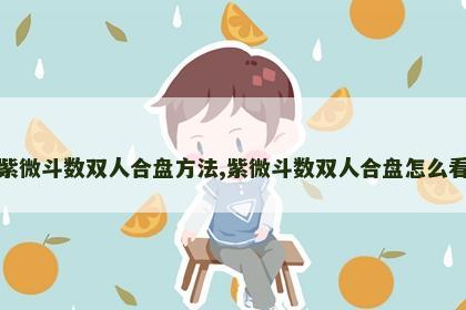 紫微斗数双人合盘方法,紫微斗数双人合盘怎么看