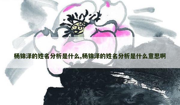 杨锦泽的姓名分析是什么,杨锦泽的姓名分析是什么意思啊