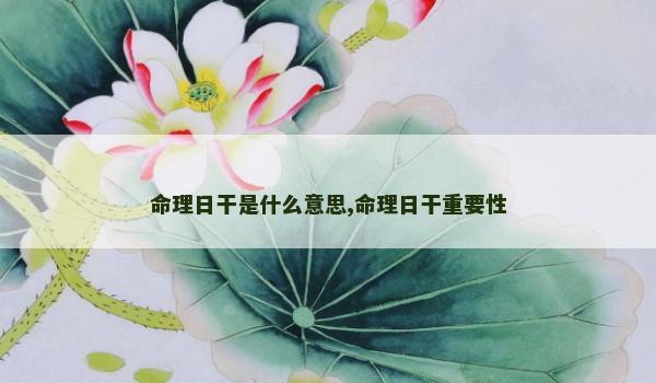 命理日干是什么意思,命理日干重要性