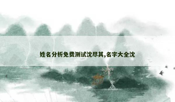 姓名分析免费测试沈尽其,名字大全沈