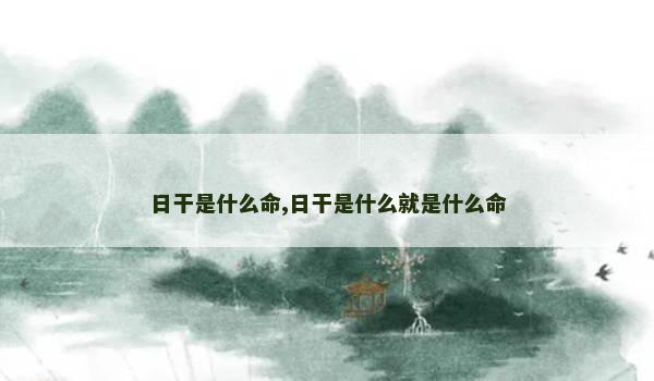 日干是什么命,日干是什么就是什么命