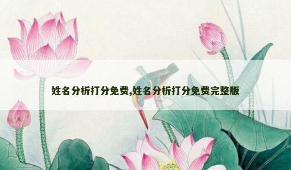 姓名分析打分免费,姓名分析打分免费完整版