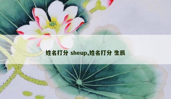 姓名打分 sheup,姓名打分 生辰