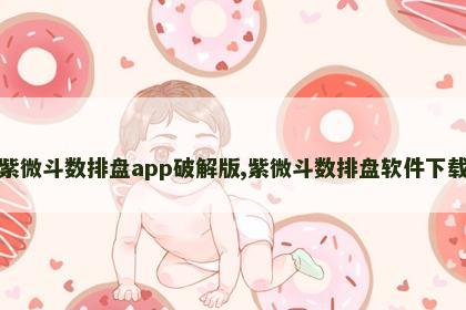 紫微斗数排盘app破解版,紫微斗数排盘软件下载