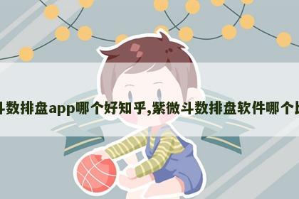 紫微斗数排盘app哪个好知乎,紫微斗数排盘软件哪个比较好