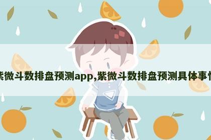 紫微斗数排盘预测app,紫微斗数排盘预测具体事情