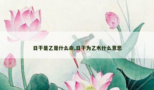 日干是乙是什么命,日干为乙木什么意思