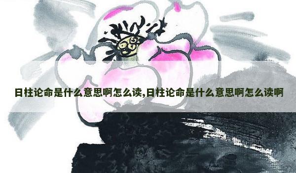 日柱论命是什么意思啊怎么读,日柱论命是什么意思啊怎么读啊