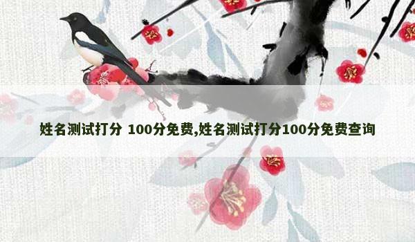 姓名测试打分 100分免费,姓名测试打分100分免费查询