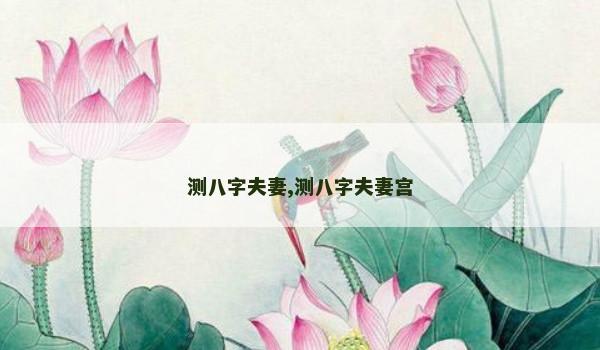 测八字夫妻,测八字夫妻宫