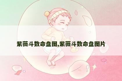 紫薇斗数命盘图,紫薇斗数命盘图片