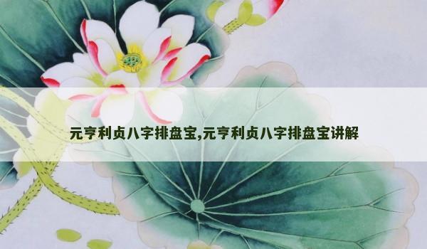 元亨利贞八字排盘宝,元亨利贞八字排盘宝讲解