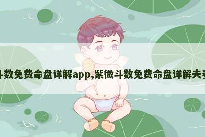 紫微斗数免费命盘详解app,紫微斗数免费命盘详解夫妻变动