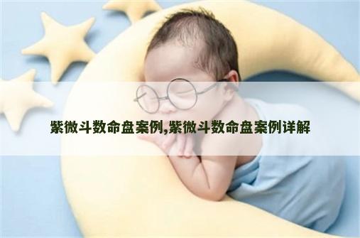 紫微斗数命盘案例,紫微斗数命盘案例详解