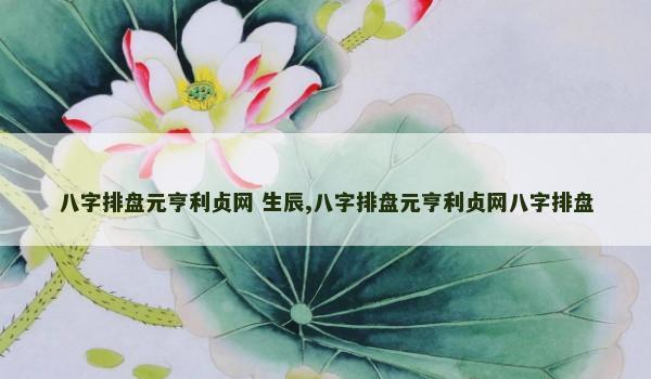 八字排盘元亨利贞网 生辰,八字排盘元亨利贞网八字排盘