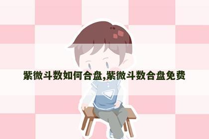 紫微斗数如何合盘,紫微斗数合盘免费