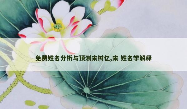 免费姓名分析与预测宋树亿,宋 姓名学解释