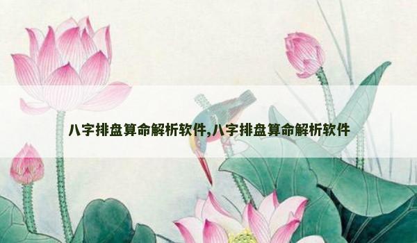 八字排盘算命解析软件,八字排盘算命解析软件