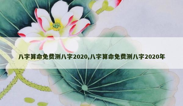 八字算命免费测八字2020,八字算命免费测八字2020年