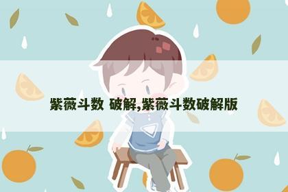 紫薇斗数 破解,紫薇斗数破解版