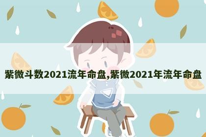 紫微斗数2021流年命盘,紫微2021年流年命盘