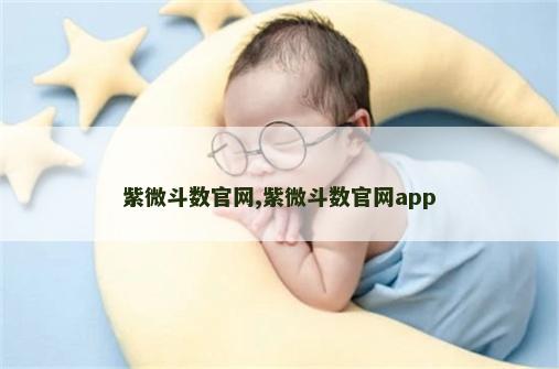 紫微斗数官网,紫微斗数官网app