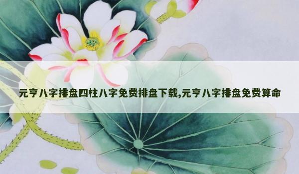 元亨八字排盘四柱八字免费排盘下载,元亨八字排盘免费算命