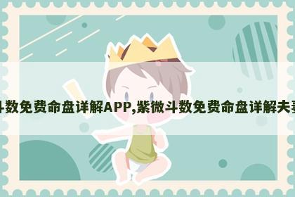 紫微斗数免费命盘详解APP,紫微斗数免费命盘详解夫妻变动