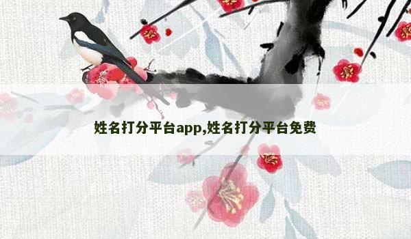 姓名打分平台app,姓名打分平台免费