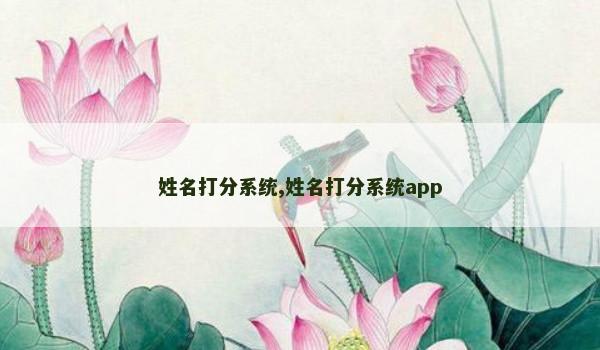 姓名打分系统,姓名打分系统app