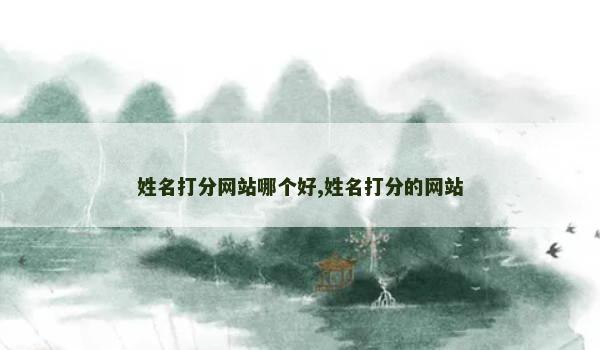 姓名打分网站哪个好,姓名打分的网站