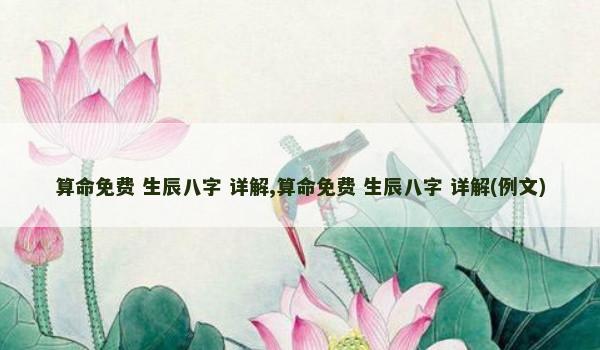 算命免费 生辰八字 详解,算命免费 生辰八字 详解(例文)