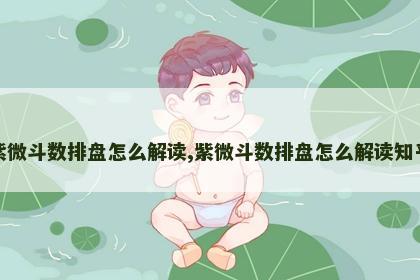 紫微斗数排盘怎么解读,紫微斗数排盘怎么解读知乎