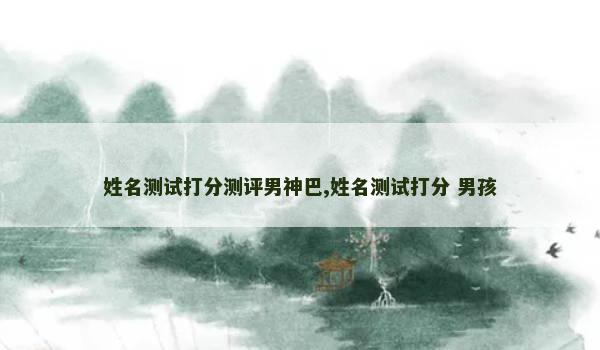 姓名测试打分测评男神巴,姓名测试打分 男孩