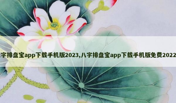 八字排盘宝app下载手机版2023,八字排盘宝app下载手机版免费2022.4