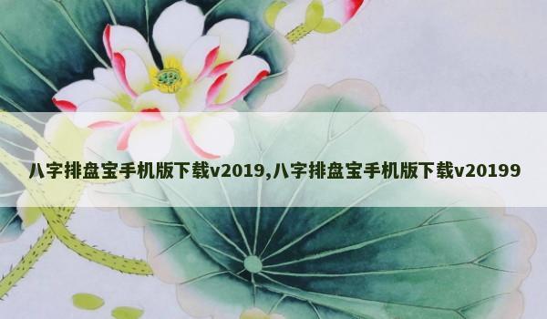 八字排盘宝手机版下载v2019,八字排盘宝手机版下载v20199