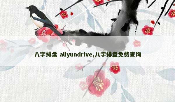 八字排盘 aliyundrive,八字排盘免费查询