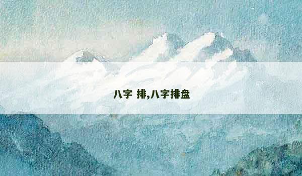 八字 排,八字排盘